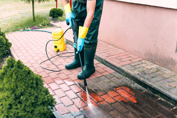 Best Fence Cleaning  in Lewisburg, WV